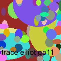 trace elliot gp11