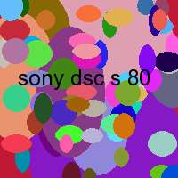 sony dsc s 80